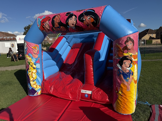 Junior Slide (Princess)