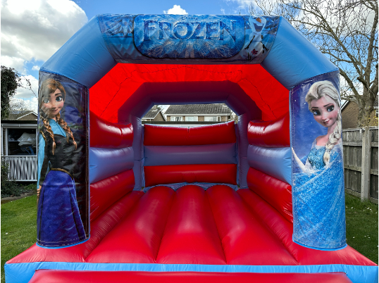 Party Fun (Frozen)