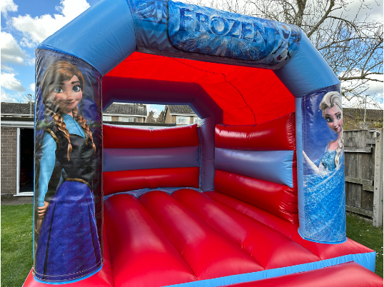 Party Fun (Frozen)