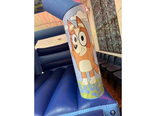 Party Fun N Slide (Bluey)