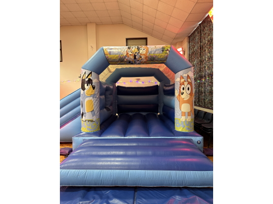 Party Fun N Slide (Bluey)