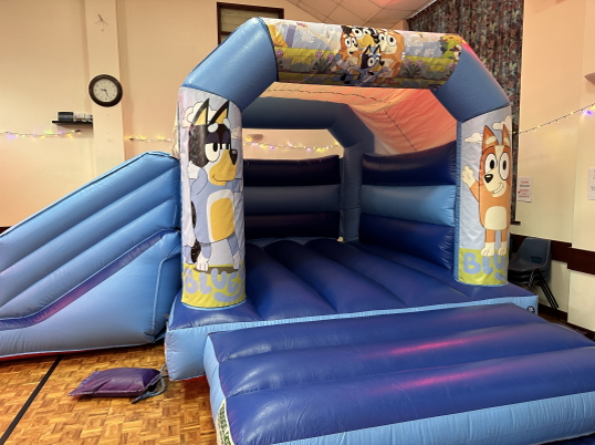 Party Fun N Slide (Bluey)