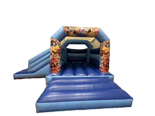 Party Fun N Slide (Disney)