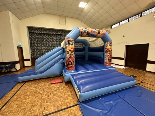 Party Fun N Slide (Disney)
