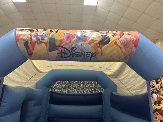Party Fun N Slide (Disney)