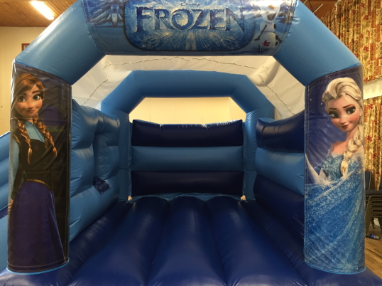 Party Fun N Slide (Frozen)