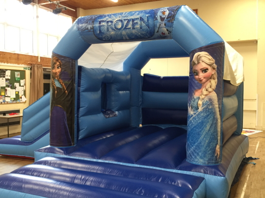 Party Fun N Slide (Frozen)