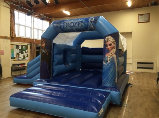 Party Fun N Slide (Frozen)