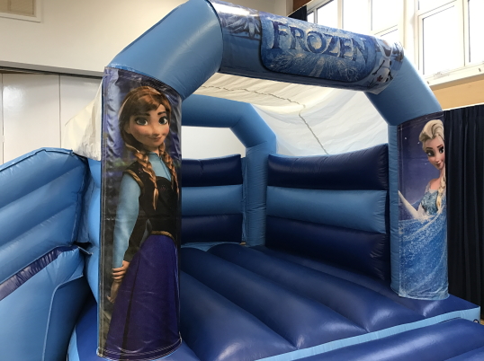 Party Fun N Slide (Frozen)