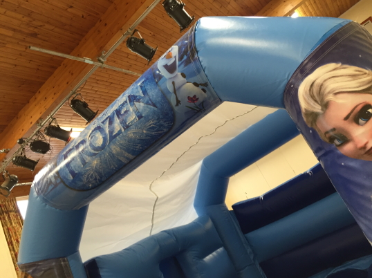 Party Fun N Slide (Frozen)