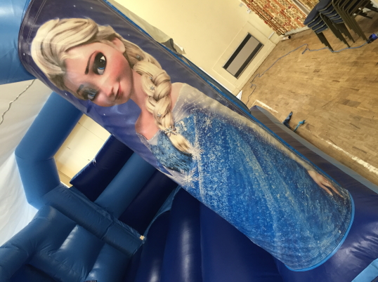 Party Fun N Slide (Frozen)