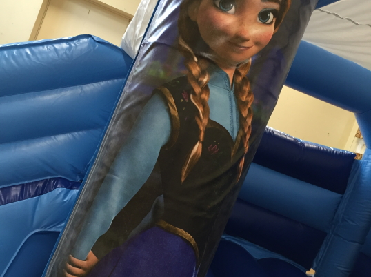 Party Fun N Slide (Frozen)