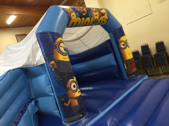 Party Fun N Slide (Minions)