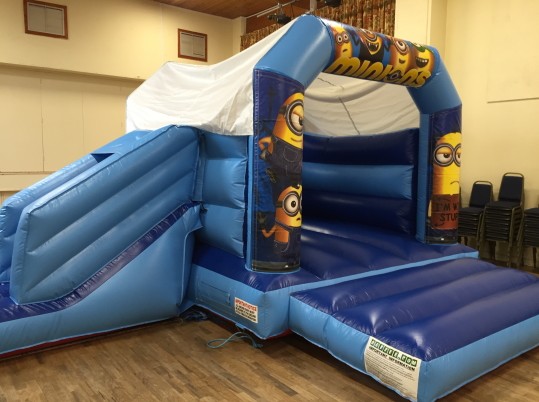 Party Fun N Slide (Minions)