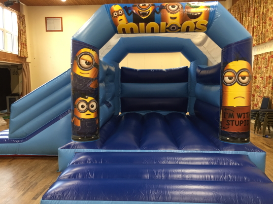 Party Fun N Slide (Minions)