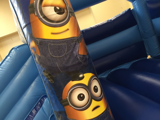 Party Fun N Slide (Minions)