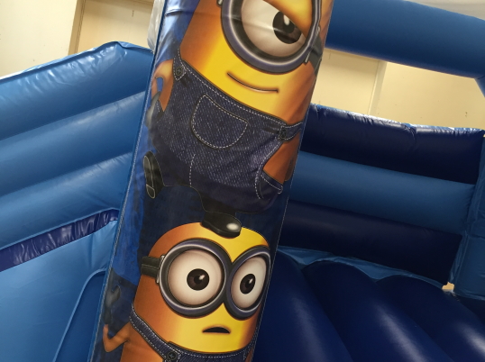 Party Fun N Slide (Minions)