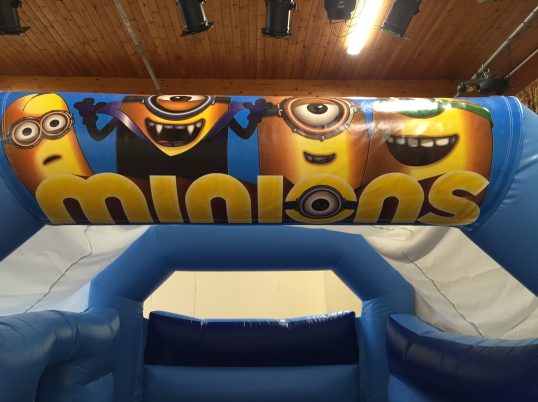 Party Fun N Slide (Minions)