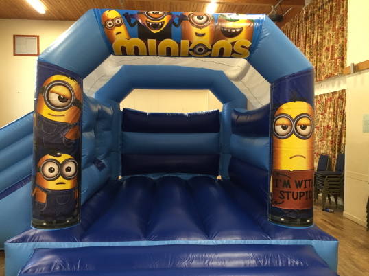 Party Fun N Slide (Minions)