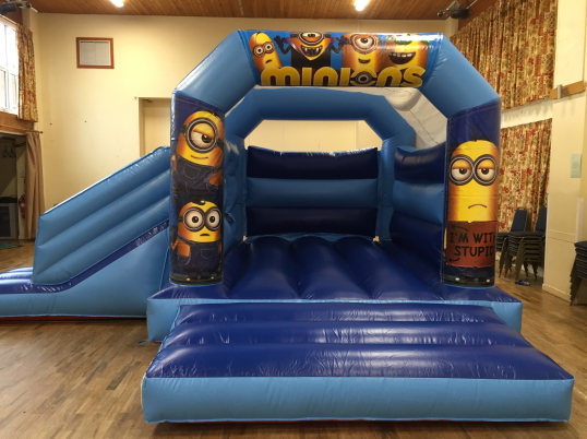 Party Fun N Slide (Minions)