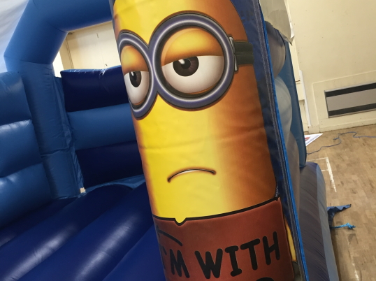 Party Fun N Slide (Minions)