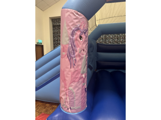 Party Fun N Slide (Unicorns)