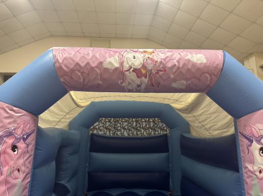 Party Fun N Slide (Unicorns)