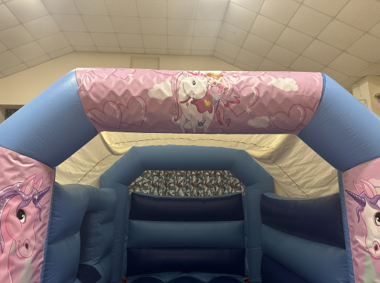 Party Fun N Slide (Unicorns)