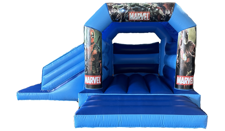Party Fun N Slide (Moana)